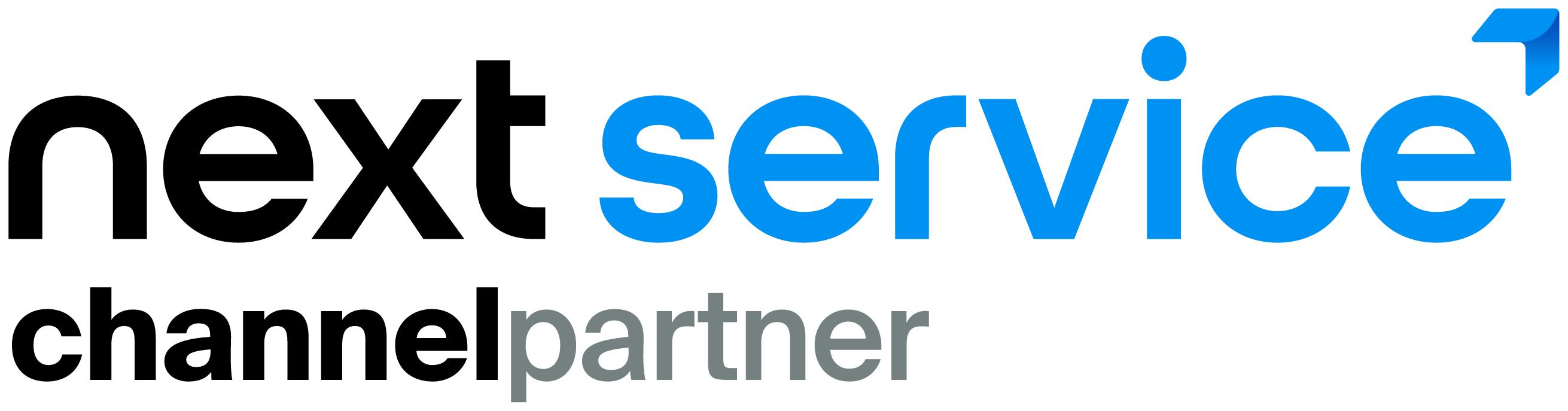 Next Service Logo Channel Partner Positive